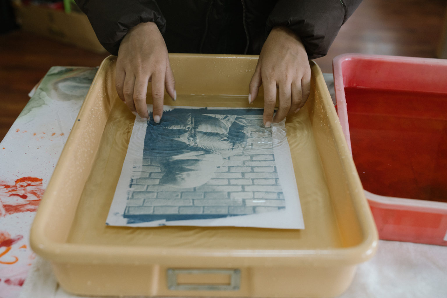 Creating Cyanotypes - Lincoln School Nepal